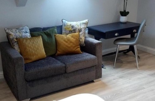 Reading Apartment | Helena Professional Studio Apartment