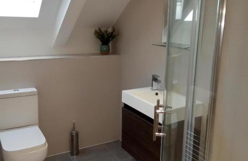 Reading Apartment | Helena Professional Studio Apartment
