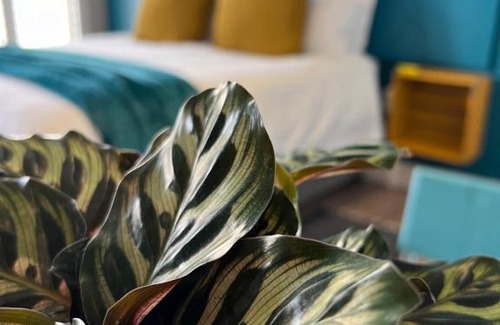 Hermanus City-Centre Apartment | Hermanus Waterfront Apartment no 17