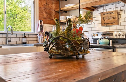 North Waco House | HGTV’s “LITTLE HOUSE” w/huge deck, fire table, grill