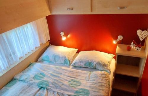 Moravske Toplice House | Hiška La Vita Kamp Terme 3000 Moravske Toplice vključeno 3x KOLO Športni rekviziti, Igrače