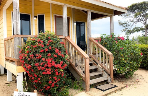 Hopkins Apartment | Hibiscus Cabana - A cozy studio with AC and WiFi in welcoming Hopkins Village