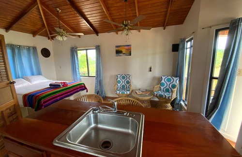 Hopkins Apartment | Hibiscus Cabana - A cozy studio with AC and WiFi in welcoming Hopkins Village