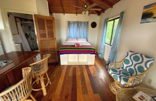 Hopkins Apartment | Hibiscus Cabana - A cozy studio with AC and WiFi in welcoming Hopkins Village