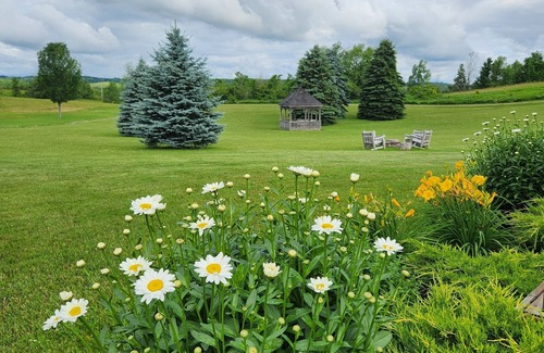 Mulmur Cabin | Hidden Gem! Charming rural getaway close to hiking/skiing/biking. Dog friendly!
