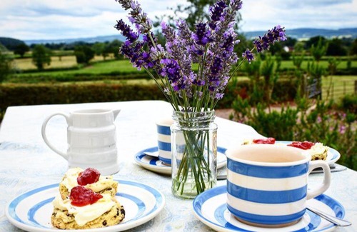 Chittlehampton Bed & Breakfast | Higher Biddacott Farm