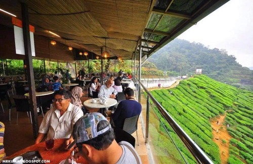 Tanah Rata Ski Chalet | Hillside cottage tanah rata