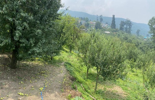 Kullu House | Hippies farmhouse