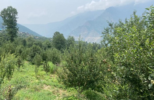 Kullu House | Hippies farmhouse