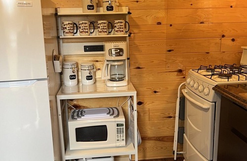 Grayling Cabin | Historic 'River Cabin' On The 'Holy Waters' Of The AuSable with AC
