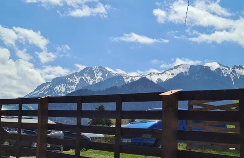 Rasnov House | Hochwertig eingerichtetes Ferienhaus für große Gruppen