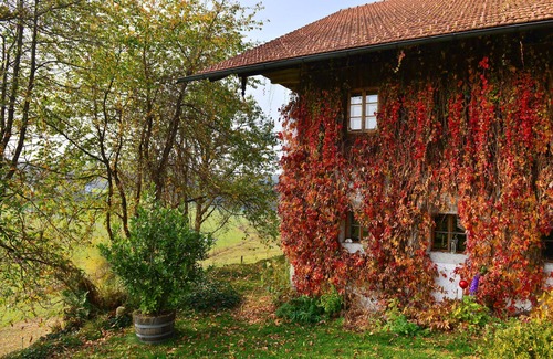 Neureichenau Apartment | Hofatelier Menacher Klassikgalerie - 63 sqm studio with gallery and balcony