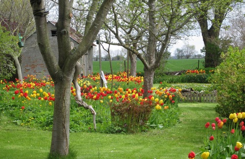 Fehmarn House | Holiday home for 6 guests with 100m² in Fehmarn OT Ostermarkelsdorf (58047)