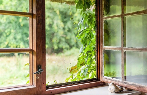 Kalkhorst Apartment | Holiday Apartment 'Charming Apartment in the Natural Forest'