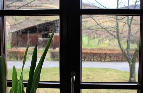 Ammerschwihr House | Holiday apartment Ammerschwihr for 1 - 5 persons with 2 bedrooms - Holiday house