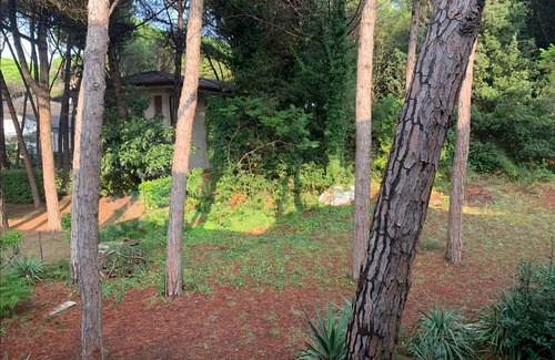 Eraclea Mare Apartment | Holiday apartment with air conditioning and 200 m to the sea