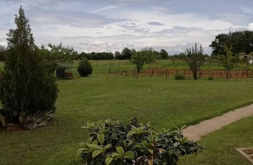 Muntic Apartment | Holiday apartment Ližnjan for 1 - 4 persons with 1 bedroom - Holiday apartment
