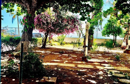 Margarita Island Apartment | Holiday apartment Porlamar for 1 - 4 persons with 1 bedroom - Holiday apartment in one or multi-fami