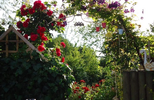 Soerup Apartment | Holiday apartment Sörup for 1 - 2 persons - Twin house