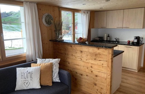 Mitloedi Other | Holiday apartment Stein SG for 1 - 4 persons with 2 bedrooms - Farmhouse