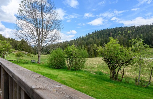 Ban-sur-Meurthe-Clefcy House | Holiday Home 'Gîte La Ramée' with Mountain View, Private Terrace and Wi-Fi