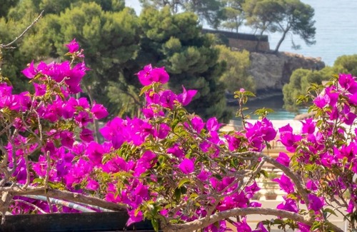 Portals Nous Apartment | Holiday Home A4 at Portals Nous 100m from beach