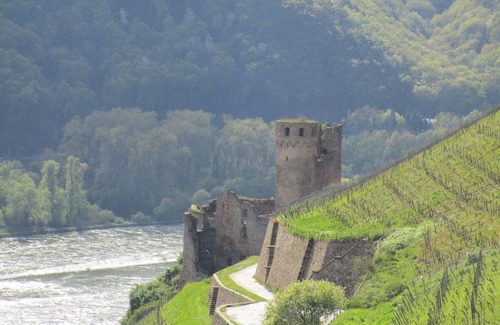 Ruedesheim am Rhein House | 👉 Holiday home PiCo 👈 Central, cozy and quiet! Do not unpack anywhere ❣️
