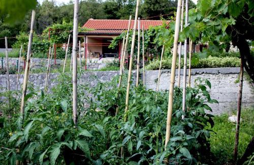 Karuc House | Holiday Home Gazevic