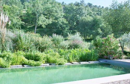 Covas House | Holiday Home in Covas with Eco Pool