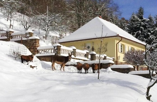 Losheim am See House | Holiday home in Losheim am See