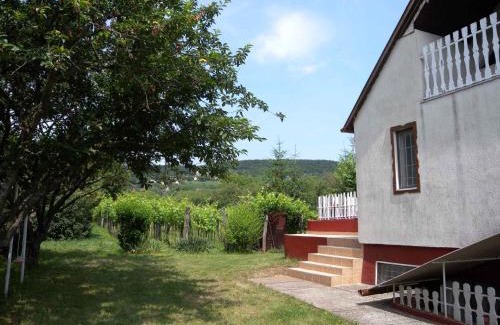 Kovagoors House | Holiday home in Revfülöp - Balaton 19622