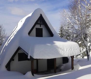 Ravna Gora House | Holiday house Nature