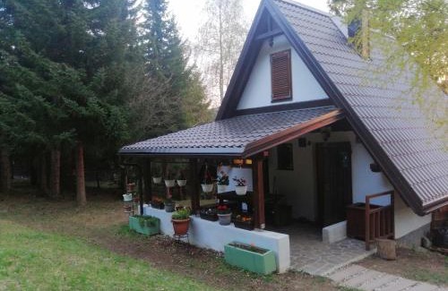 Ravna Gora House | Holiday house Nature