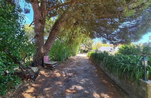 Carvalhal Benfeito House | Holiday house Ribafria for 1 - 6 persons with 3 bedrooms - Holiday home
