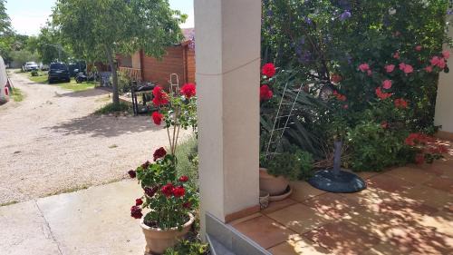 Pakostane Resort | Holiday Park Lu-Ka