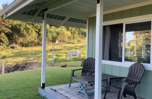 Holualoa House | Holualoa Country Home - Ohia, 2 bed 1 bath with a sunset view