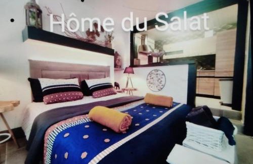 Salies-du-Salat Apartment | Home du salat