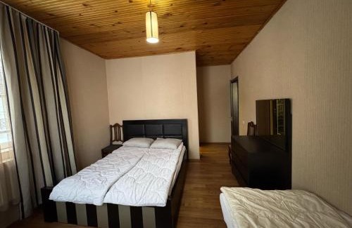 Bakuriani Apartment | Home in Bakuriani