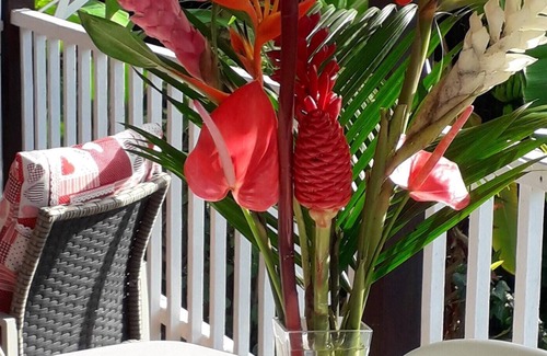Bouillante House | Homerez - 150 m away from the beach! Beautiful bungalow for 4 ppl. at Bouillante
