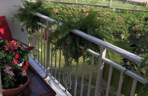 Le Gosier Apartment | Homerez - Apartment 250m² Le Gosier, garden