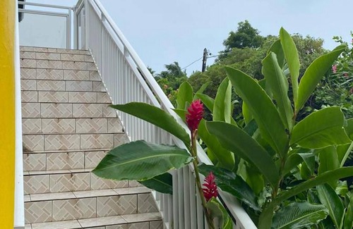 Le Moule Apartment | Homerez - Nice appartement for 4 ppl. with balcony at Le Moule