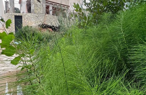 Rute Villa | Homerez - Spacious House in Zambra + Private Pool