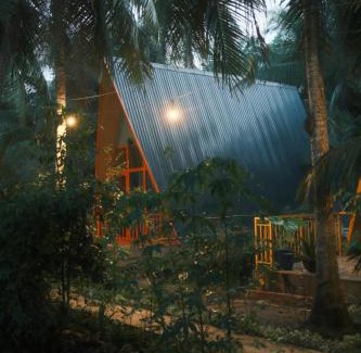 Ben Tre Bed & Breakfast | Homestay and Tour Ben Tre