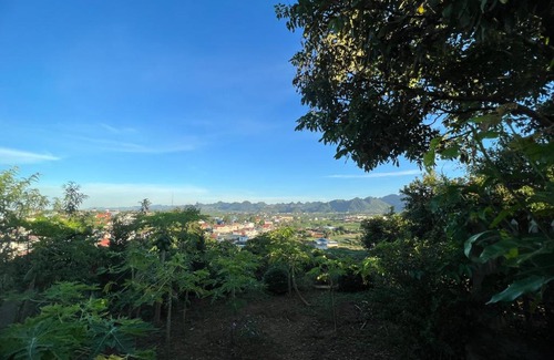 Moc Chau Hotel | Homestay Strawberry