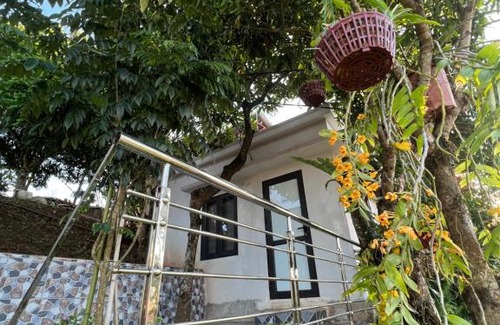 Moc Chau Hotel | Homestay Strawberry