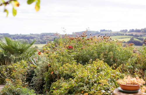 Blockley Cottage | Honeysuckle Cottage - sleeps 4 guests in 2 bedrooms