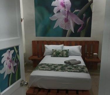 Envigado House | Hospedajes El Jardin