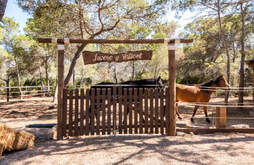 Santa Eulalia del Rio House | Hostal Cala Boix