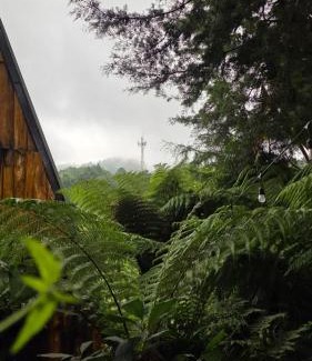 Ilobasco Hotel | Hostal El Pital Lecho de Flores