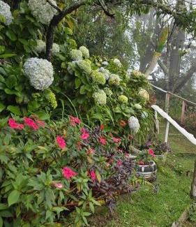 Ilobasco Hotel | Hostal El Pital Lecho de Flores